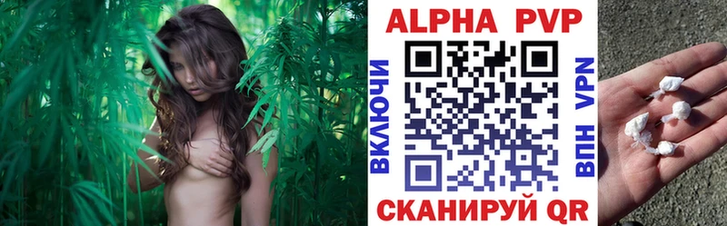 Купить  Гаджиево  Alpha-PVP мука 