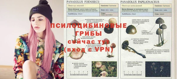 меф Балахна